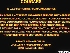 Privatespecials - Cougars