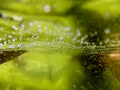 Princess Clover In Corsica Explicit Nudist