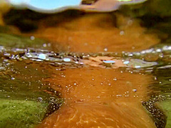 Princess Clover In Corsica Explicit Nudist