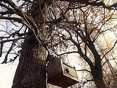 White Caught With Jeny Smith