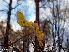 White Caught With Jeny Smith
