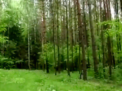 Blowjob In The Wood