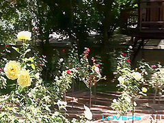 Cock sucking teen slut facialised