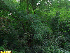 Car bitches penetrated outdoor in pussy in doggystyle