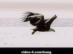 Nicole Love Spends The Night Fucking A Well Hung Stud By Candle Light - BANG!