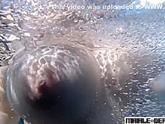 Porn Addict Brainwash Program 1.0.0