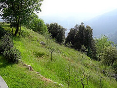 No Shortcomings From Natures Gifts