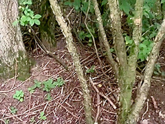 Horny Could Not Resist And Sucked Right In A Public Park With Olivia Moore