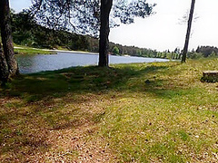 Public Sex Je Suce Un Inconnu Au Bord Des Gens Nous Surprennent Il Ejacule Sur Mes Seins