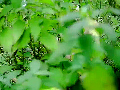 Property Dikha Ne Ke Bahane Jungle Me Leja Kar Akali Larki Ke Sath Kia Kand Full Movie ( Hindi Audio)