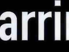 The Game Studio Mariska X
