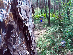 A Stranger Fucked Me In The Woods As Soon As I Peed. Sweetie Lilu Homemade Porn Video