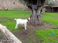 Summer Vixen Norcal Part 10 - ATKGirlfriends