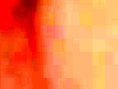 Nothing But My Wifes Pretty Pussy