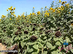 Brooke Johnson : Virtual Date Movie - ATKGirlfriends