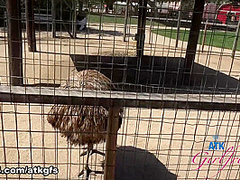 Brooke Johnson : Virtual Date Movie - ATKGirlfriends