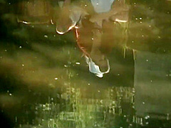 70s Nature #5 (france) - Mkx