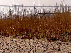 Riskante Strandwette! Traust Du Dich