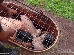 Two Girls Taken To The Farm For Humiliation And Degradation