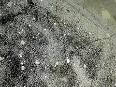 Thank Me With That Booty Baby! 1 - Lets Try Ass Fucking