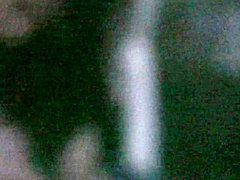 Sextape Release of Sexy Brawd - PornPros