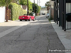 Dumpster Diving - PornPros