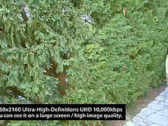 Lovely Angel Fmm X Dp X Outdoor X Creampie Vol2 - Anita Bellini - Kin8tengoku