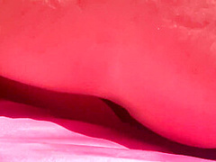 Putting On A Show For The Neighbours