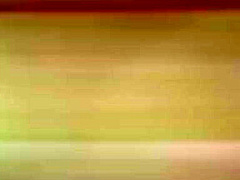 The Tropical Teaser - PornWorld