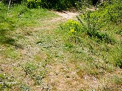 Je Cherche Des Oeufs De Paques Et Jen Trouve Des Bien Juteux