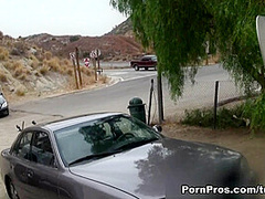 Dirty Public Affairs - PornPros