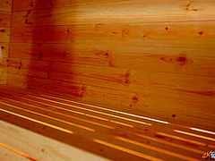 Charlie Rose in Steamy Slips - DownblouseJerk