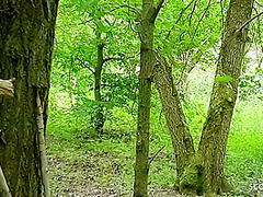 Two Real German Teen Talk To Amateur Ffm 3some In Public Park