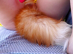 Sexy Fox Having Fun In Nature