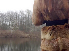 Outdoor Sex With Redhead Teen In Winter Forest. Risky Public Fuck - Otta Koi