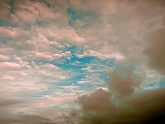 Naughty Showing Off On The Beach Ass Orgasm