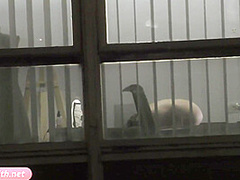 Rehearsals pt1. Jeny Smith in tansparent suit with high heels. Spy cam