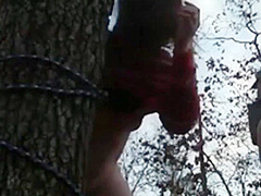 My Slut Tied To A Tree And Fucked Rough