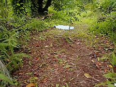 Rescue Wood 1 - Stranded Teenagers