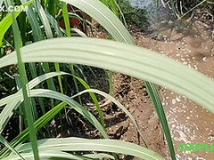 Komal Khuleaam Ganne Ke Khet Mein Apni Chut Dho Rahi Thi