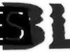 Sky Pierce - Roomies Poolside Chick