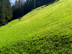 Deutsches Teen Wird Auf Einer Alm Gefickt Bis Sie Die Volle Ladung Abbekommt