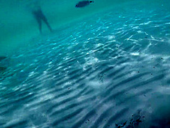 Voyeur At The Beach Watches Girls Underwater And Wants To Stroke Me