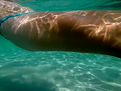 Voyeur At The Beach Watches Girls Underwater And Wants To Stroke Me