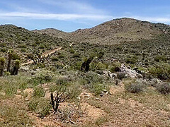 Public Double Creampie From Husband And His Friend While Hiking In Joshua Tree / Sloppy Seconds