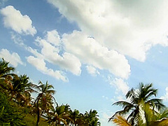 Affair Cast Sveta With Anna Polina Ivana Sugar Melanie Memphis Mira Sunset Nataly Von Nataly Tarra White, Nataly Von And Ivana Sugar