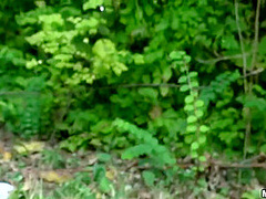 Smoking Russian Swallows Sperm 2