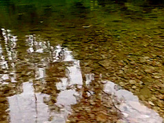 Italiana Sogna Una Sborrata Atomica Nella Foresta Amazzonica