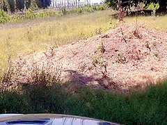 Andiamo Sempre Alla Ricerca Dei Casolari Abbandonati