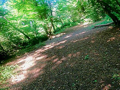 (dialoghi Italiani) Elfo Nel Bosco Cazzo Estremo Nel Culo. Esclusivo Cosplay Per Esterni